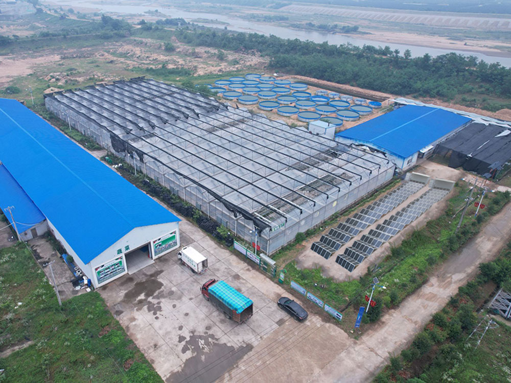 Solar Power Containers for Self provided power supply